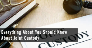 Everything About You Should Know About Joint Custody